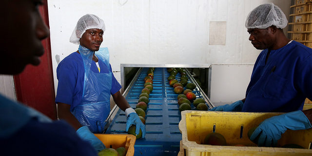 21978722568_400b147dc7_z