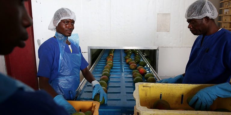 4 Labor Productivity Grows Faster in Developing Countries When 