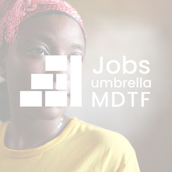 mdtf-block-logo