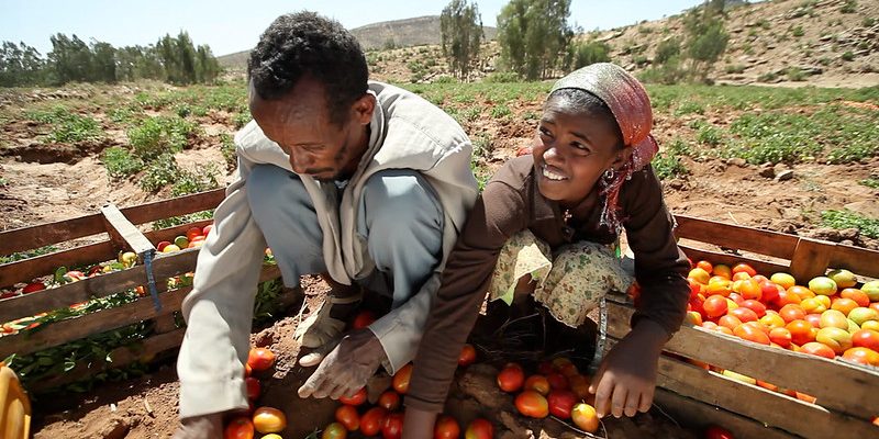 6928926222_9304a04498_c