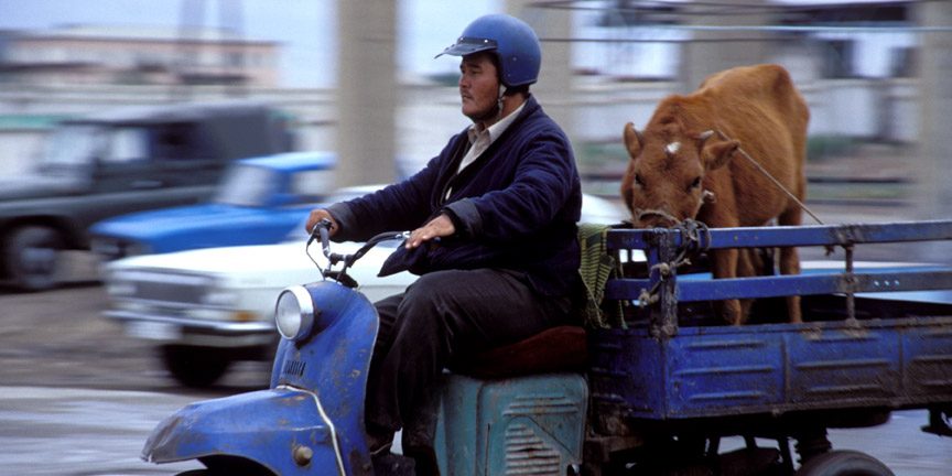 1196361092_441ec0b35a_o