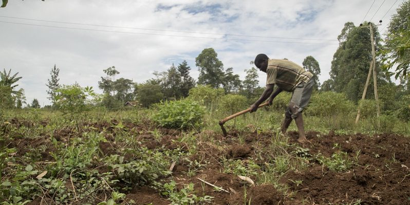 22851421298_40bb3f1cb8_c