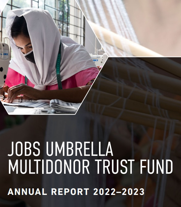 Annual report cover image