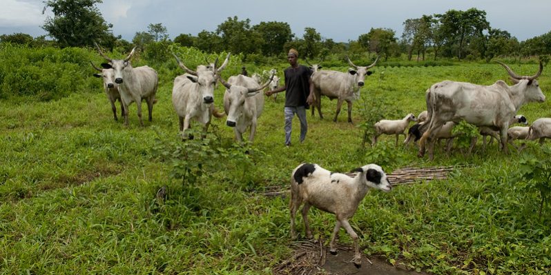 14122928315_97fbb1960e_c